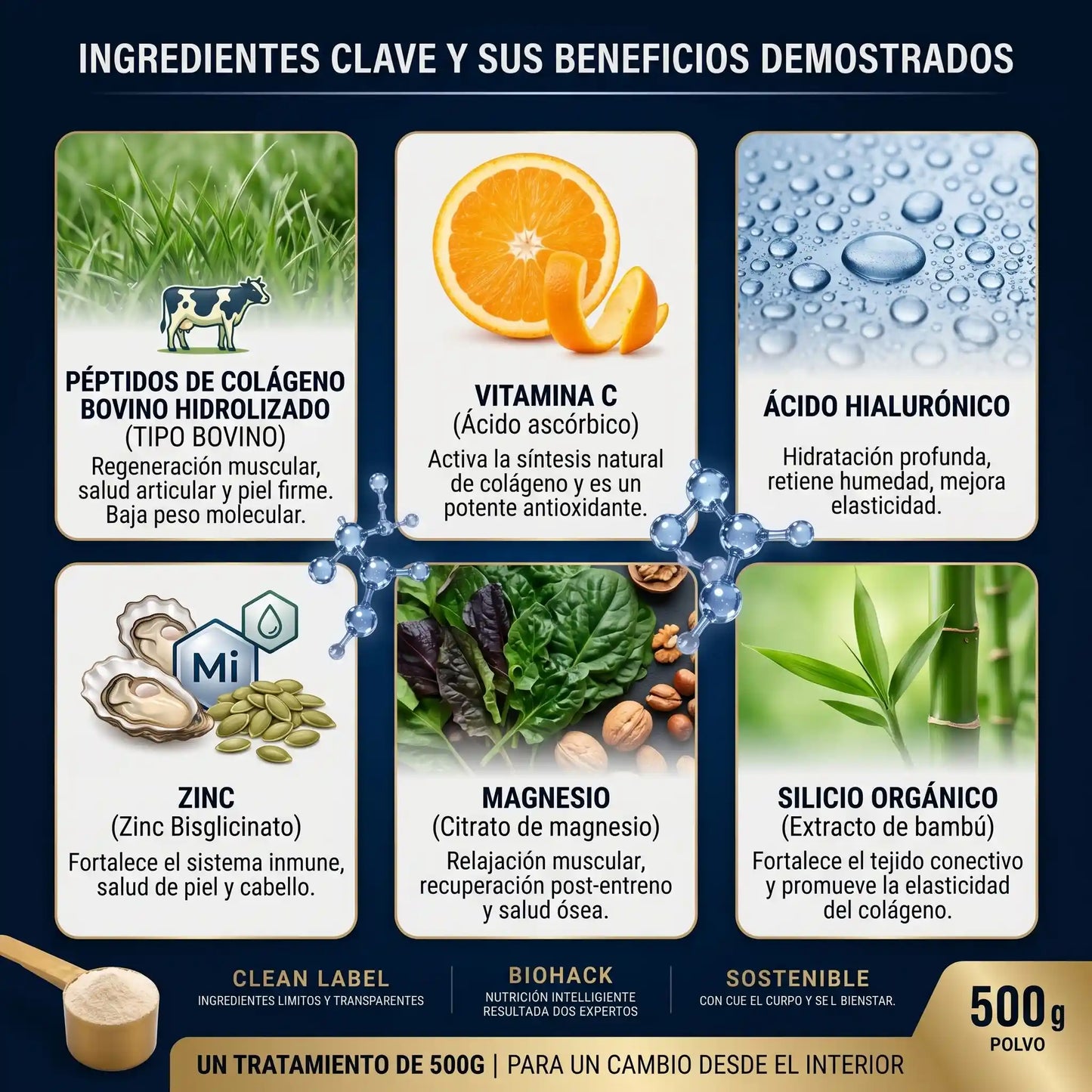 Colágeno Hidrolizado Premium 500g + Ácido Hialurónico, Magnesio, Zinc y Vitamina C