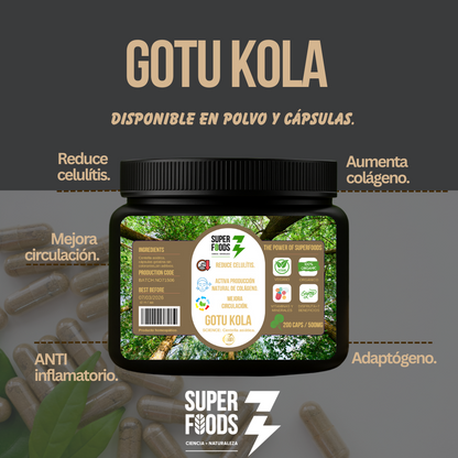 Kit bienestar Ashwagandha ksm 66 / Gotu kola / Curcuma pimienta